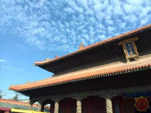 探寻山东，古老与现代交融的土地魅力