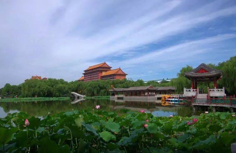 廊坊,廊坊，小巷深处的独特风情与一家迷人小店